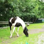 BO01 – Bild 14