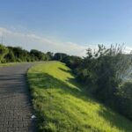 L08 – Bild 13