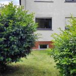 OF03 – Bild 1