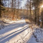 BL02d #12 – Bild 29